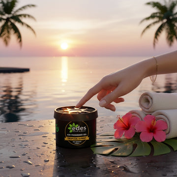 EDES Car Gel Air Freshener Tropical Sunset